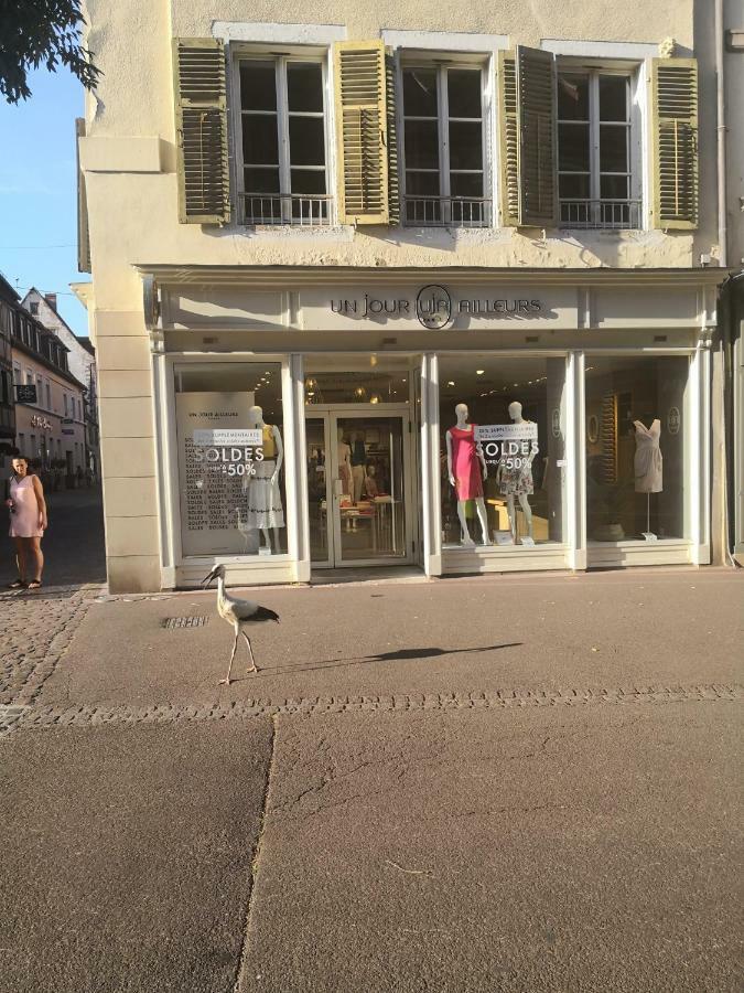 Les Clefs De La Liberte Apartment Colmar Luaran gambar