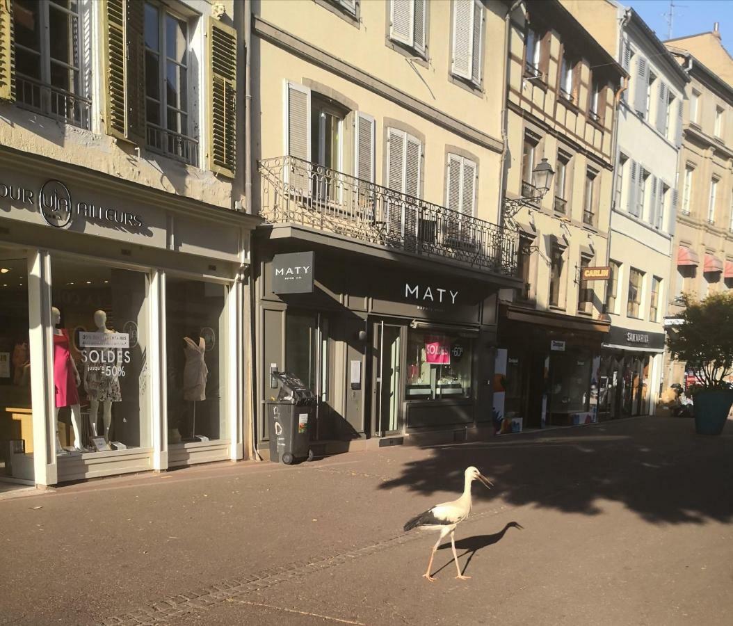 Les Clefs De La Liberte Apartment Colmar Luaran gambar
